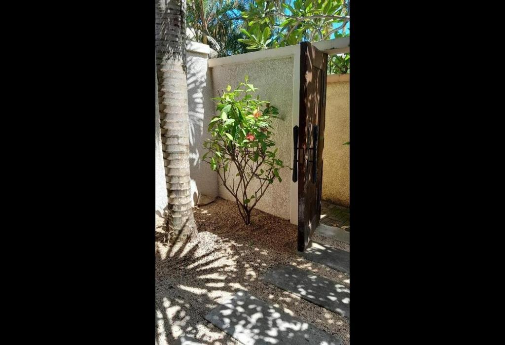 Oasis 1 Villa Tropicale Grand-Baie Eksteriør billede
