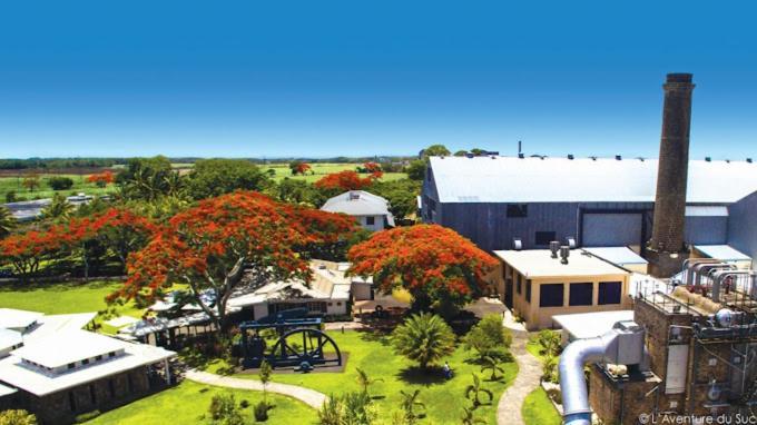 Oasis 1 Villa Tropicale Grand-Baie Eksteriør billede