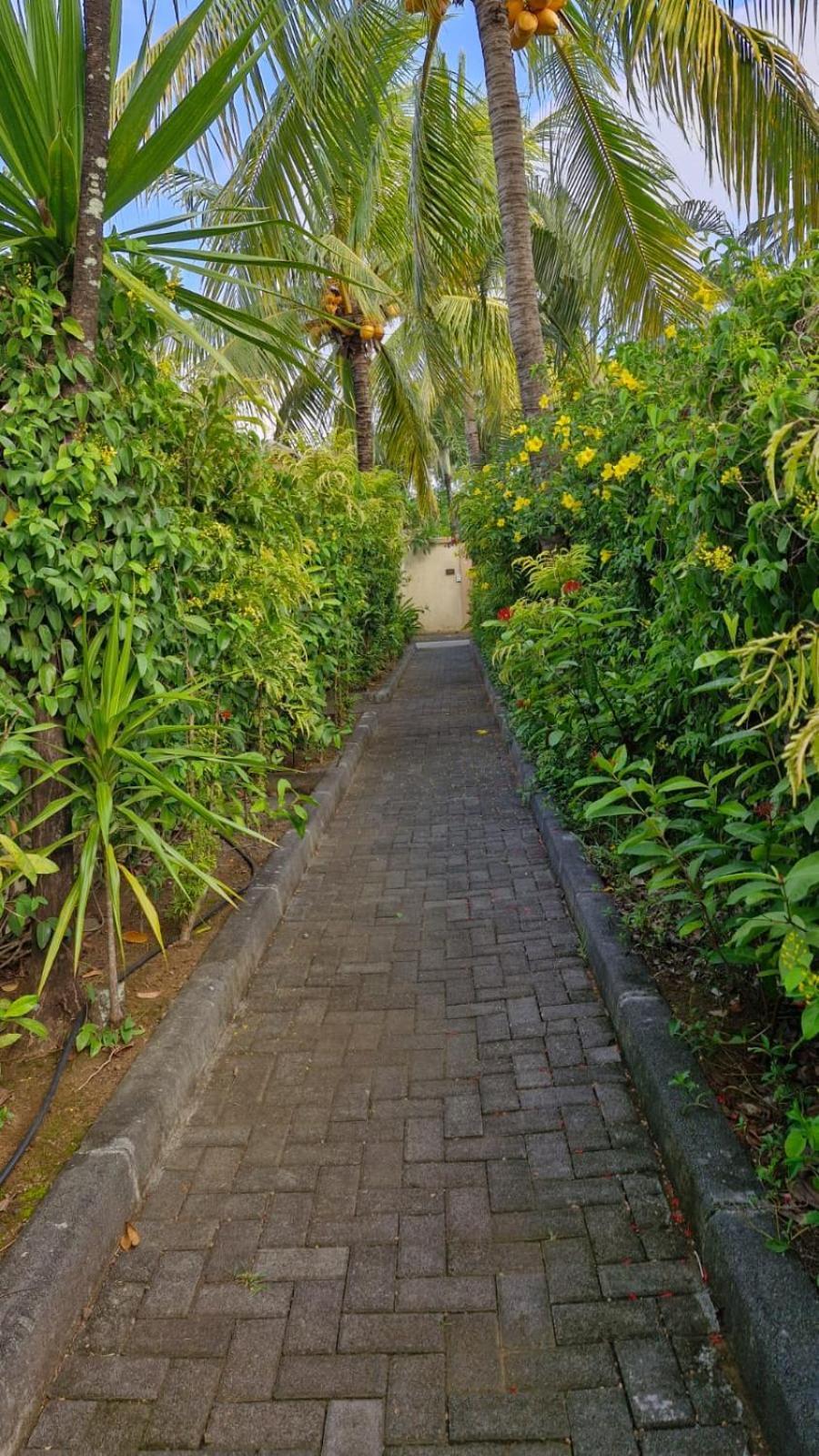 Oasis 1 Villa Tropicale Grand-Baie Eksteriør billede